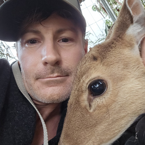 Brandon S. profile photo