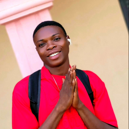 Ayomide S. profile photo