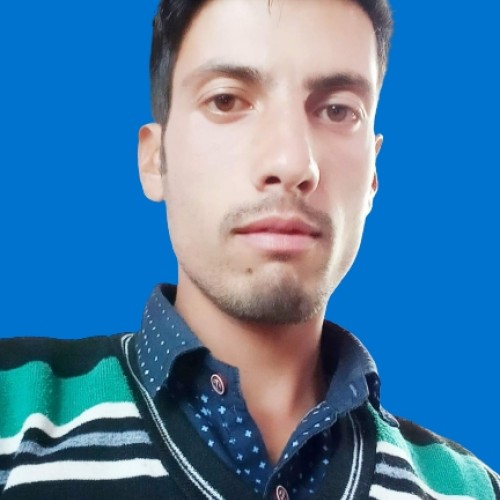 Manzoor B.