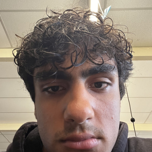 Mohammad N. profile photo