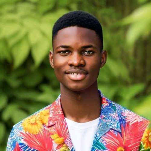 Emmanuel O. profile photo