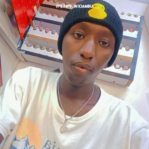 Robin  N. profile photo