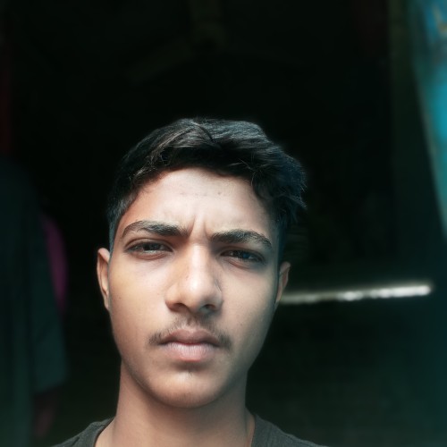 Vikash K.