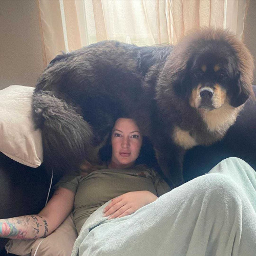 Rose A. profile photo