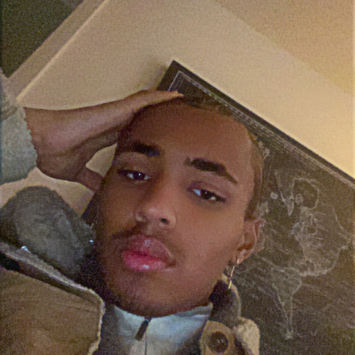 Alano H. profile photo