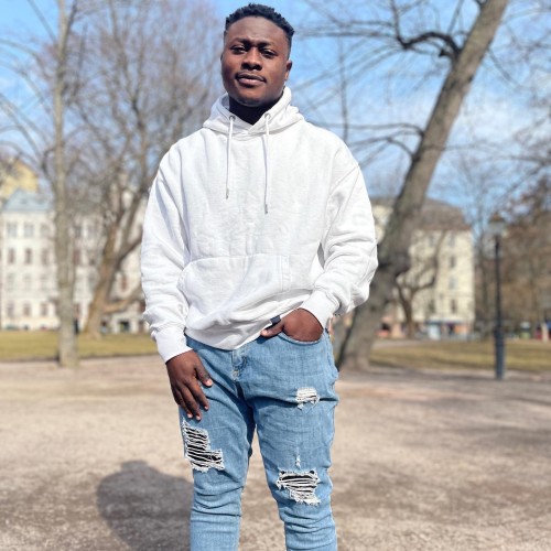 Ogunleye  O.