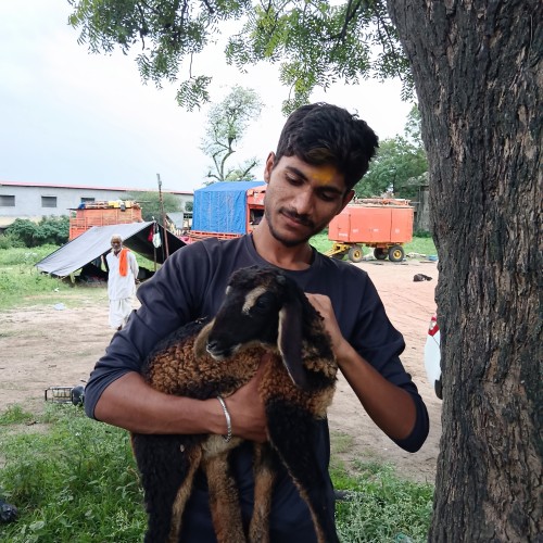 Mahesh  B.