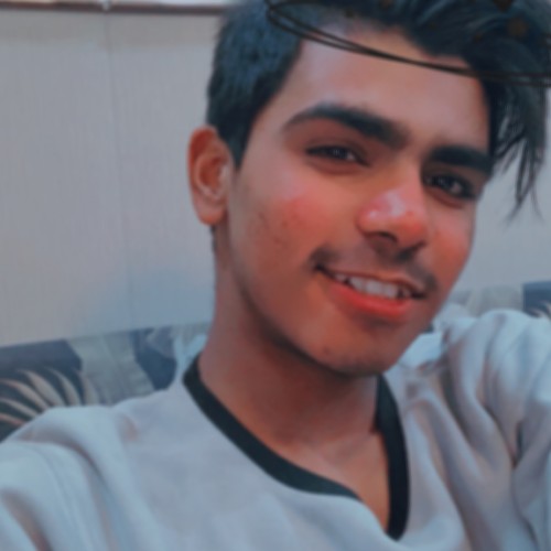 Arish M. profile photo