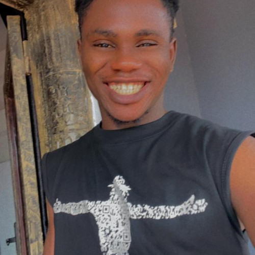 Ehinwa  V. profile photo