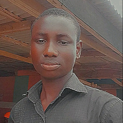 Opeoluwa  D. profile photo