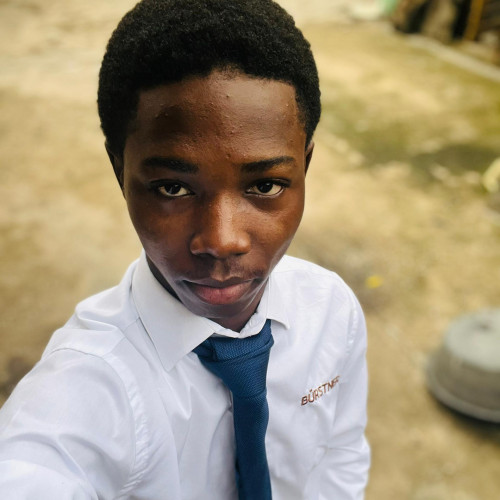 Daniel D. profile photo