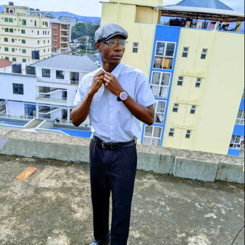 Henry n. profile photo