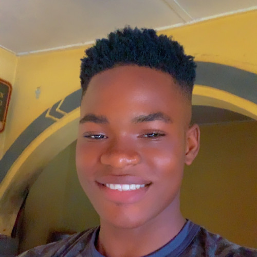 Oyibo  T. profile photo