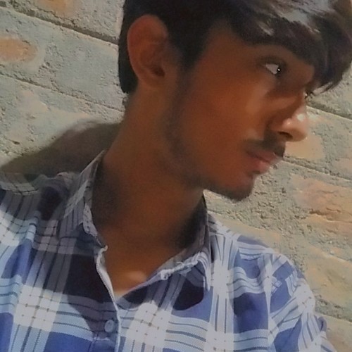 Rahul C. profile photo