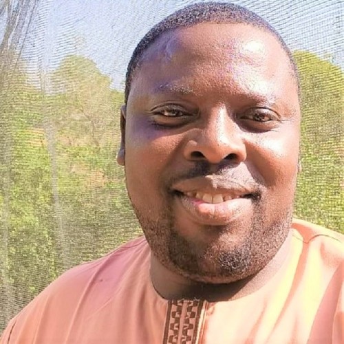 OLUFEMI A. profile photo