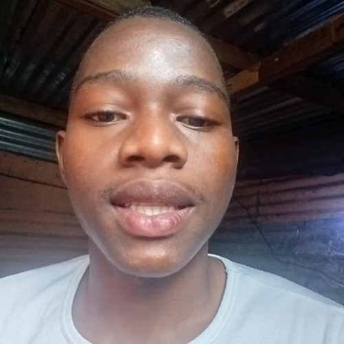 Njivest  N. profile photo