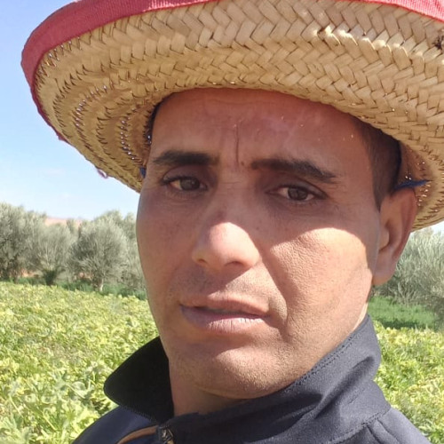 ali B. profile photo