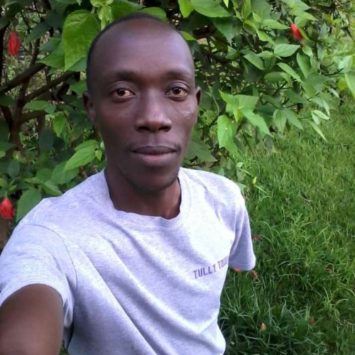 Renson  N. profile photo