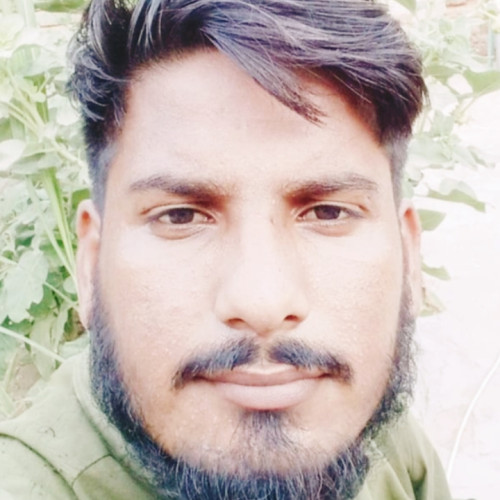 Zulqarnain H.