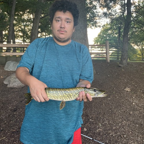 Jesse M. profile photo