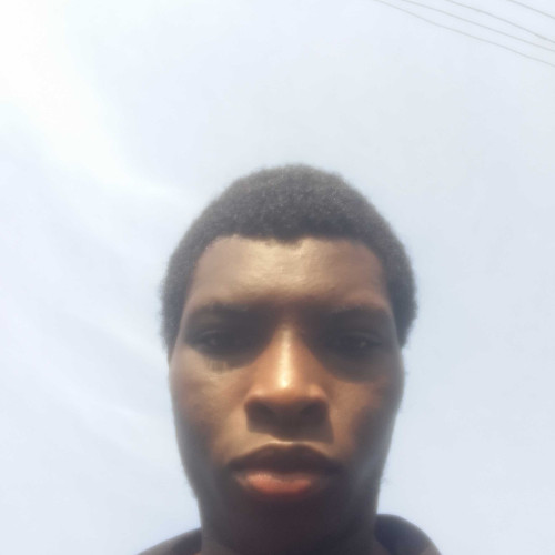henry s. profile photo
