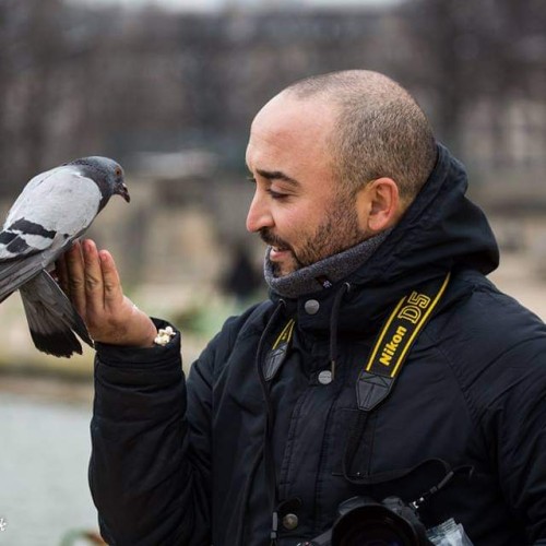Mehdi E. profile photo