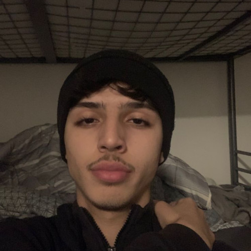 Ali H.