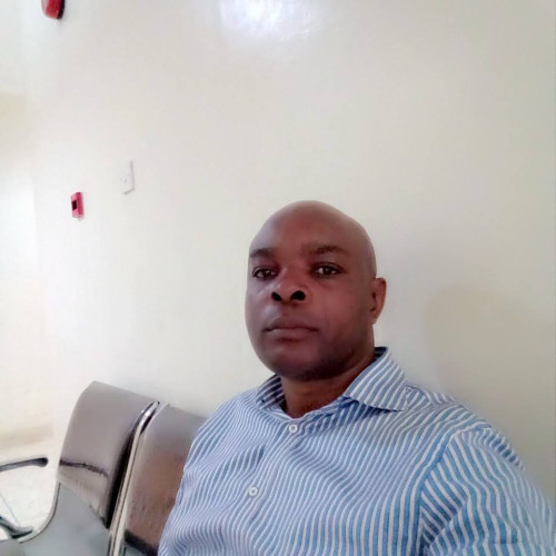 Bilfrid  A. profile photo