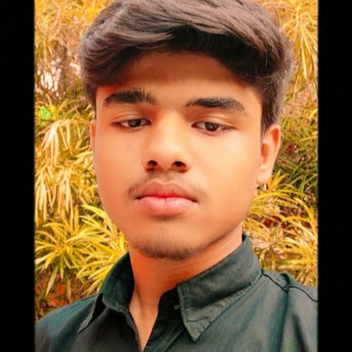 Sarthak  B.