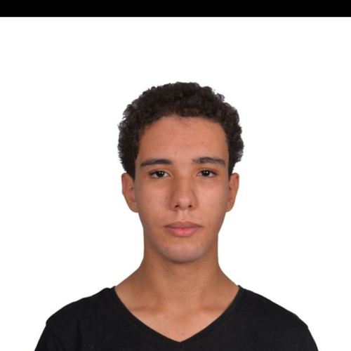 Mehdi S. profile photo