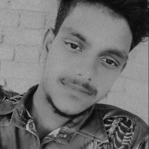 RAJU S. profile photo
