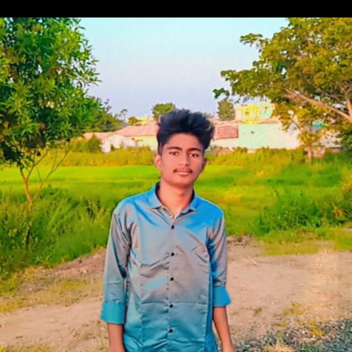 raju r. profile photo