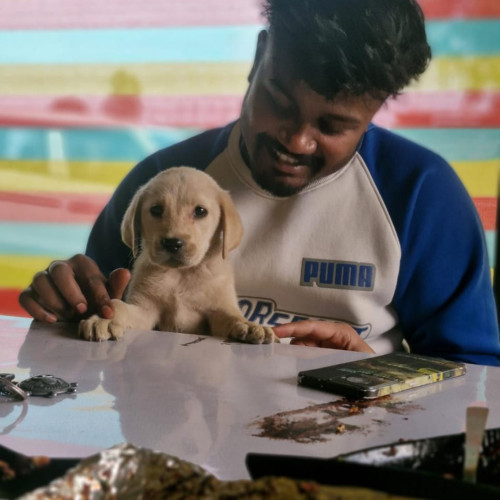 nikhil t. profile photo