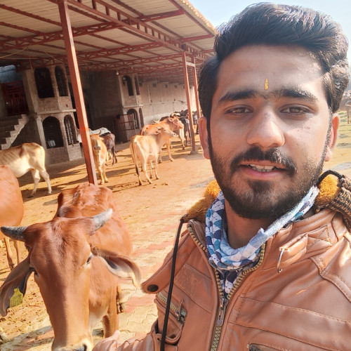 Nitin K. profile photo