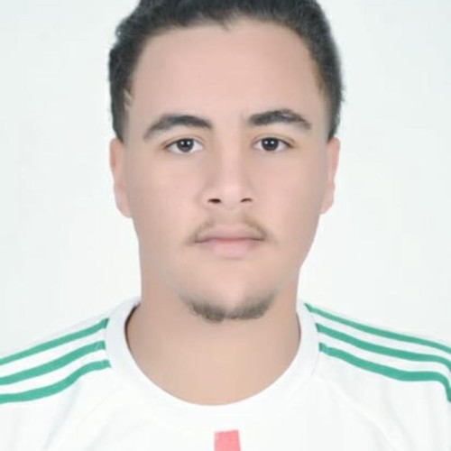 Badr Eddine O. profile photo