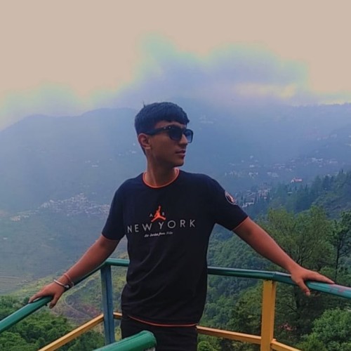 Kartik B.