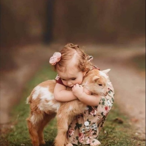 Adil S. profile photo