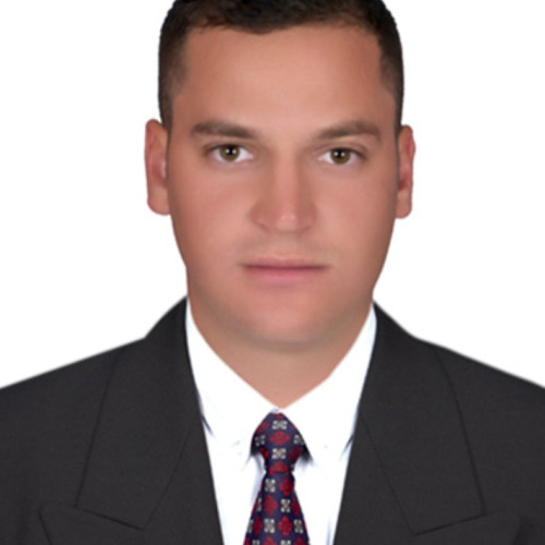 Danijel M. profile photo