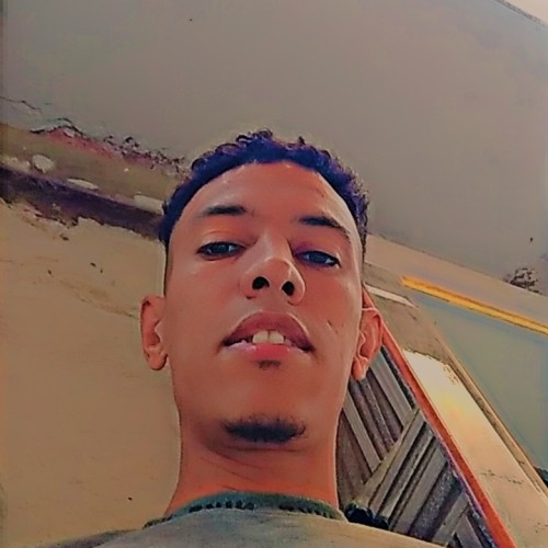 Hamid N.