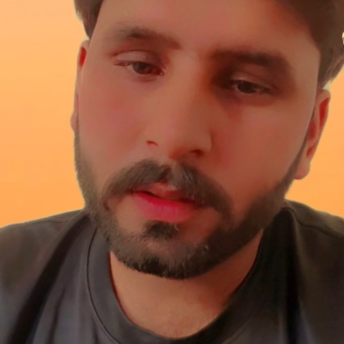 Muzamail  N. profile photo