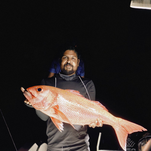 Jai L. profile photo