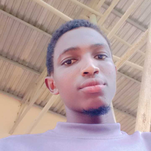ayodeji t.