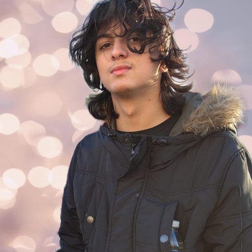 Daniele B. profile photo