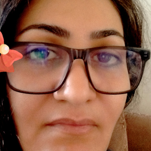 Mojdeh M.
