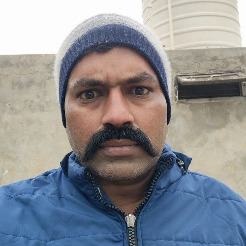 Main Pal P. profile photo