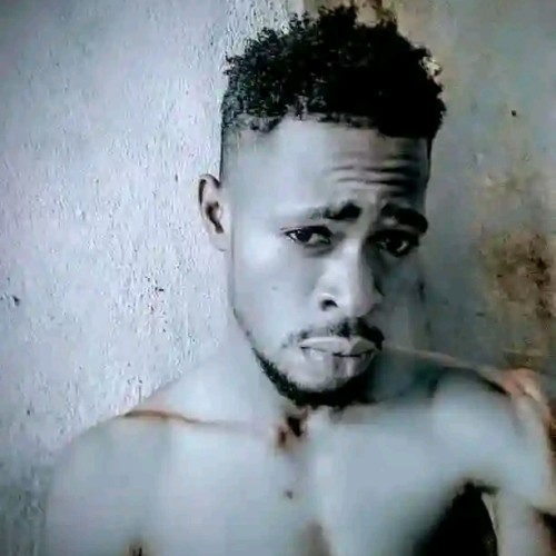 Elvis E. profile photo