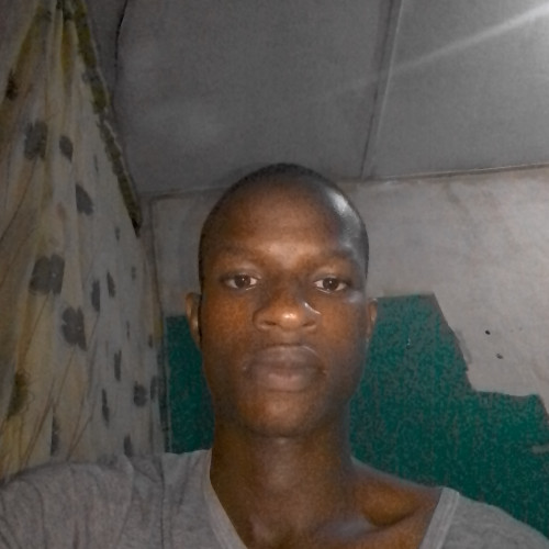 Daniel  C. profile photo