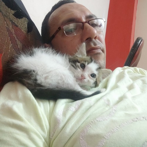 Ramy H.