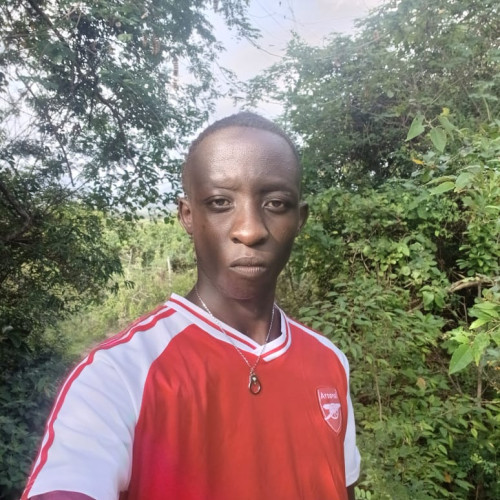 Henry K. profile photo