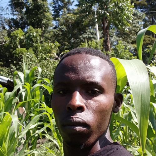 Kelvin B. profile photo
